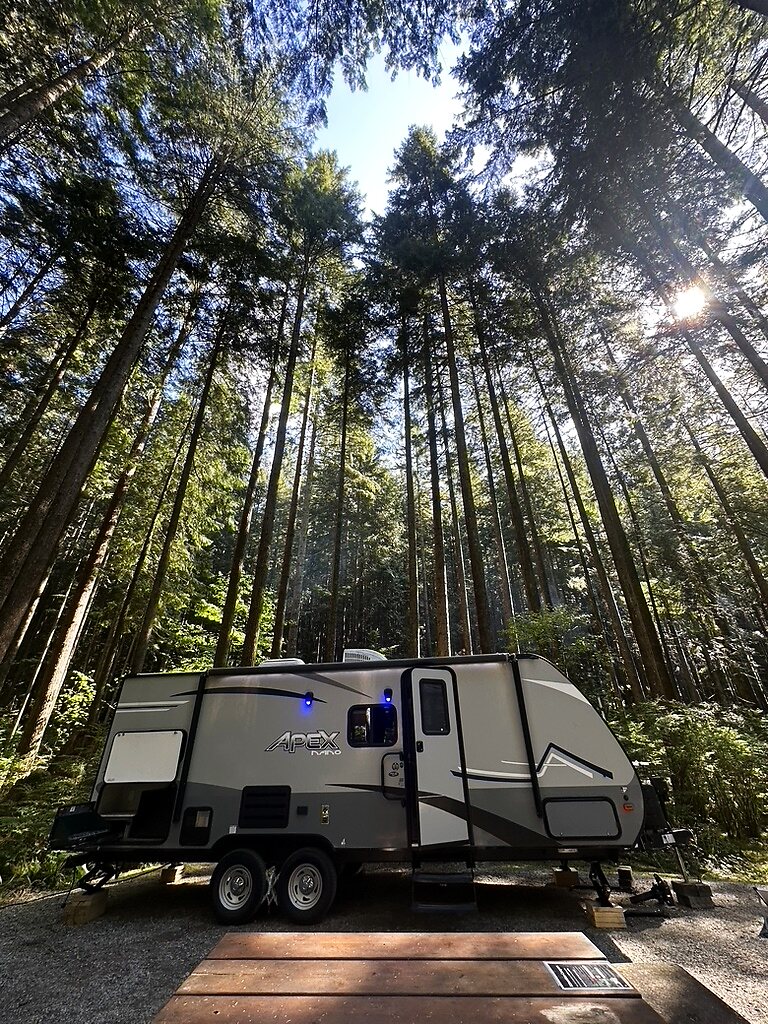 Campsite among the tall pines